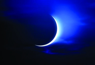 wp header logo1772190010419954395