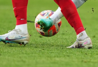 wp header logo17721936141783198459