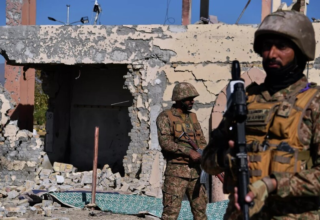 wp header logo17721972291248937625