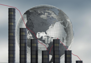 wp header logo17722008121686731146