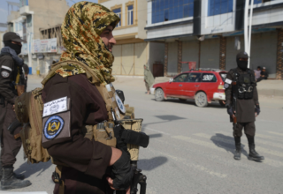 wp header logo1772204409494806314