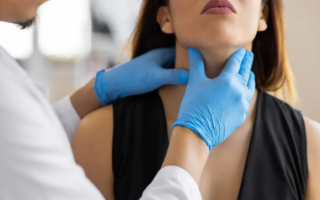 wp header logo17722224081893791990