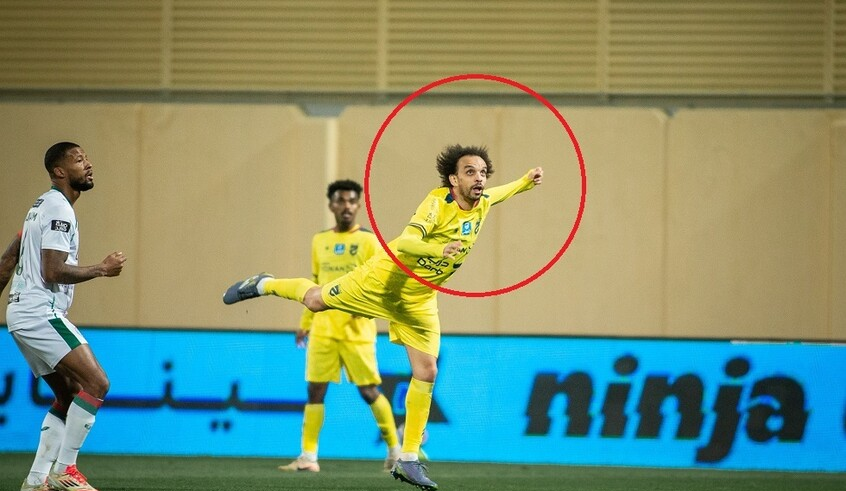 wp header logo17722332231757549194