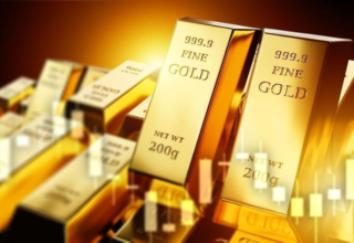 wp header logo1772236826466148170