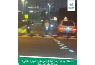 wp header logo1772240424845858354