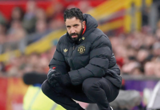 wp header logo17722404501956806535