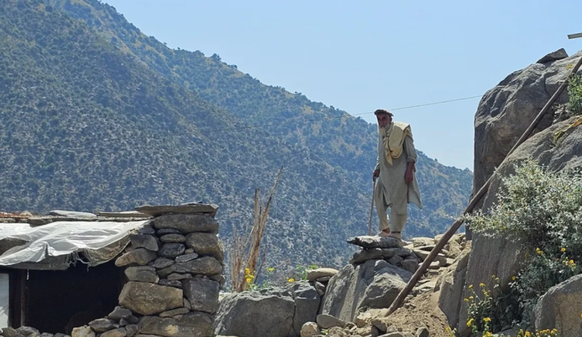 wp header logo1772262065874343982