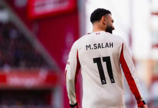 wp header logo1772265609953112472