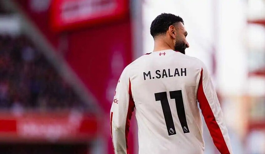 wp header logo1772265609953112472