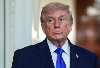 wp header logo17722980442073135112