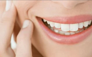 wp header logo17723016131351909335