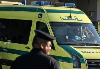 wp header logo17723016181518881739