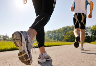 wp header logo17723016211211962230