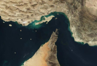 wp header logo17723052351019143532