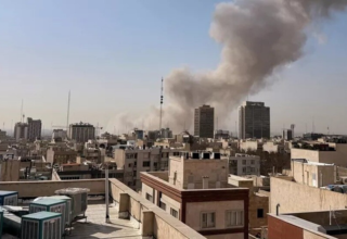 wp header logo17723124811002274799