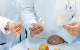 wp header logo177232684599144087