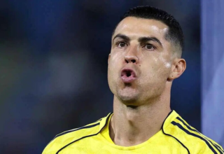 wp header logo17723556191404122273