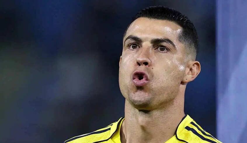 wp header logo17723556191404122273