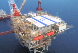 wp header logo17723556191534812793