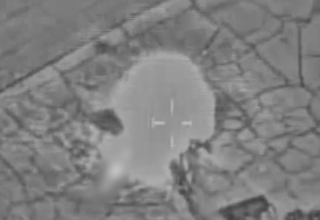 wp header logo177236642573853071