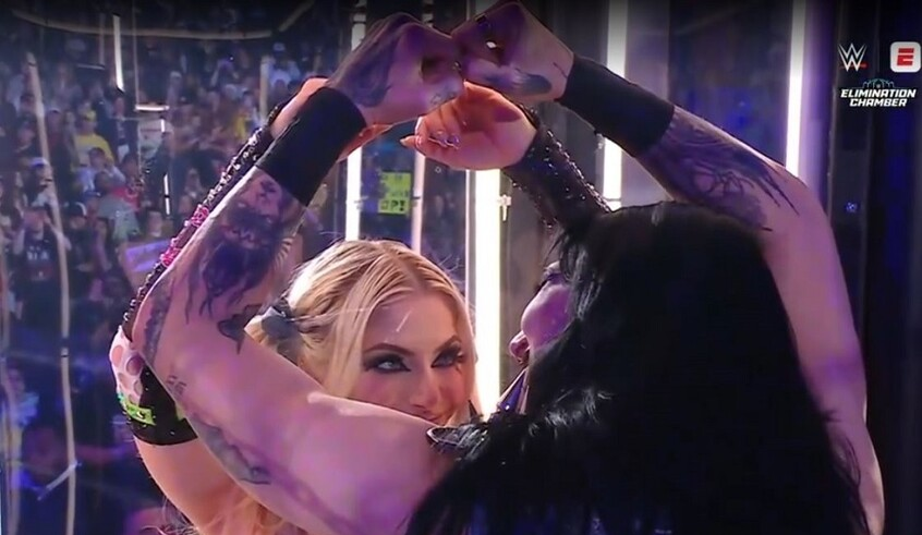 wp header logo17724024121139442783