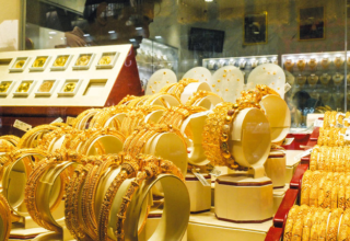 wp header logo1772413231218163709