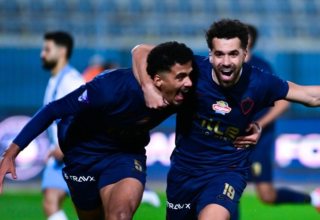 wp header logo17724168111831344782