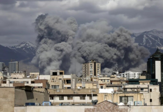 wp header logo17724312091141602142