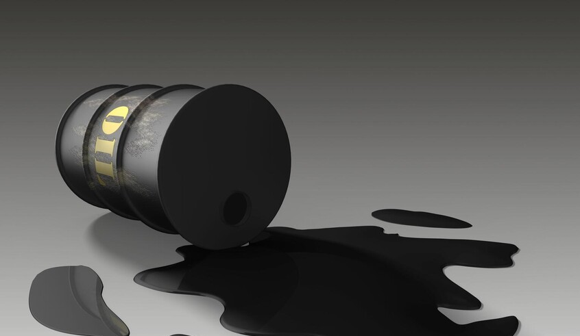 wp header logo1772434816806033270