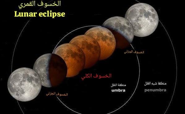 wp header logo17724384071771727122