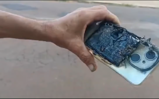 wp header logo17724420127679223