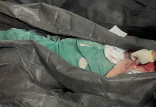 wp header logo17724456791458234070