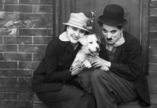 wp header logo1772449209263147063