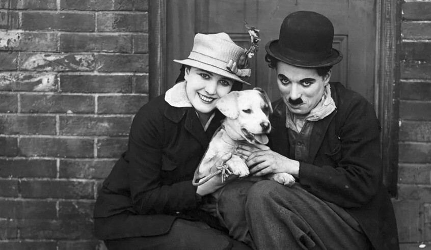 wp header logo1772449209263147063