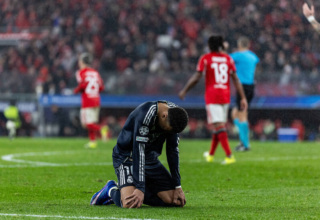 wp header logo17724528111741340123