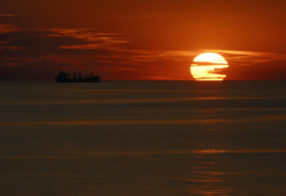 wp header logo1772456419667849389