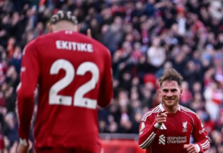 wp header logo17724564261154921540