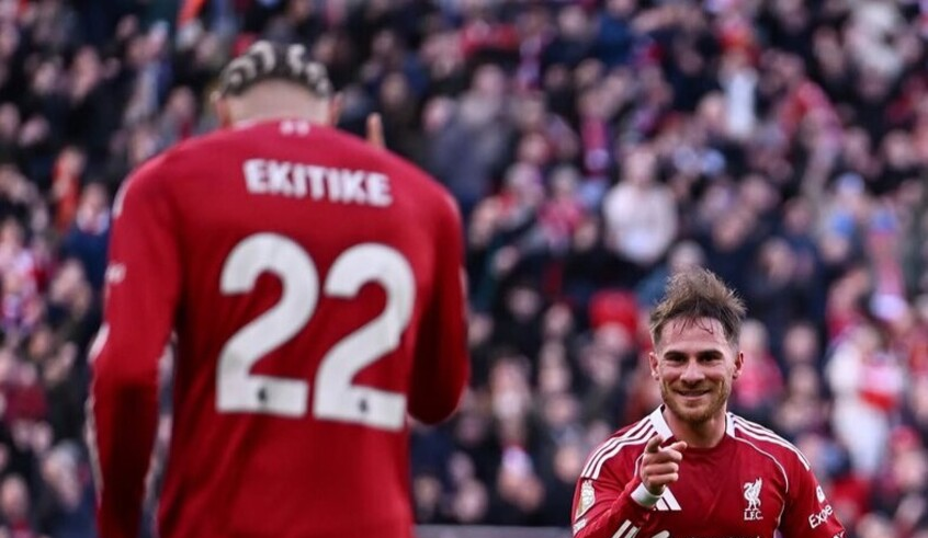 wp header logo17724564261154921540