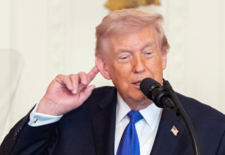 wp header logo17724816091223368909