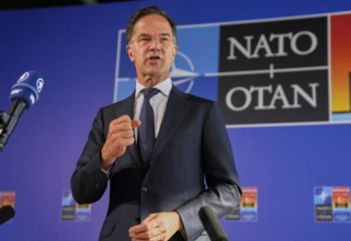 wp header logo17724924581830244638