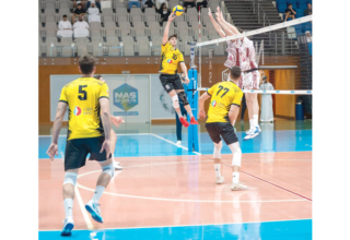 wp header logo177249600828523360