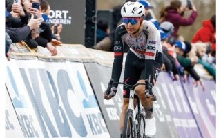 wp header logo1772499613137285137