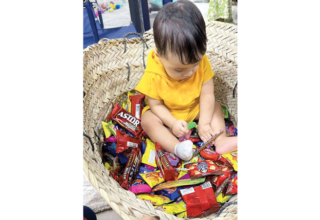 wp header logo17724996211676027770