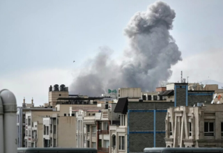 wp header logo1772503211323311487