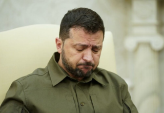 wp header logo1772524826415767041