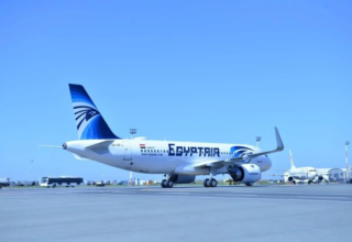 wp header logo17725284172113843320