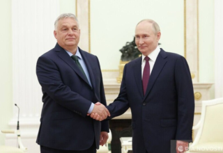 wp header logo17725428342046435314