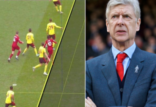 wp header logo17725752161692088823