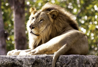 wp header logo1772586011706605269