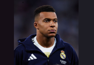 wp header logo1772625608733156598